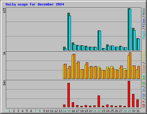 Daily usage for December 2024