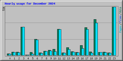 Hourly usage for December 2024