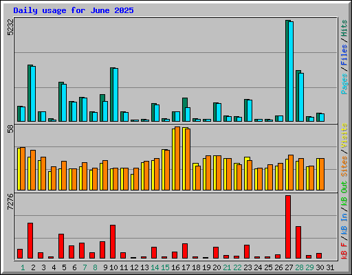 Daily usage for June 2025