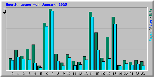 Hourly usage for January 2025