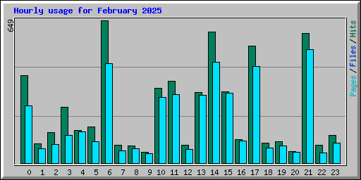 Hourly usage for February 2025