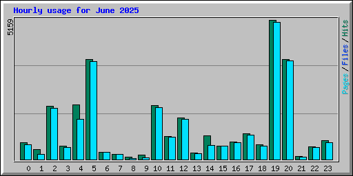 Hourly usage for June 2025